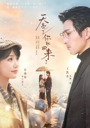 天亮了,你就回来了 封面