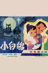 小白鸽 封面