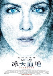 雪盲 封面