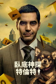 神探特伦特 封面