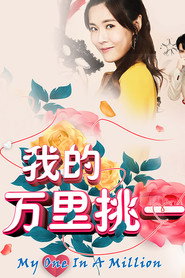 我的万里挑一 封面