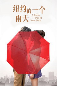 纽约的一个雨天 封面