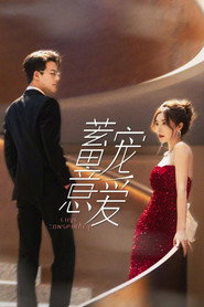 蓄意宠爱 封面