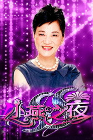 SS小燕之夜 封面