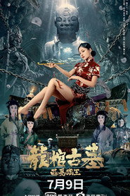 龙棺古墓：西夏狼王 封面