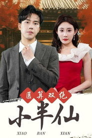 医算双绝小半仙 封面