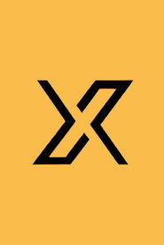 X调查 封面