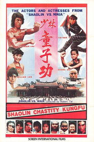少林童子功 封面