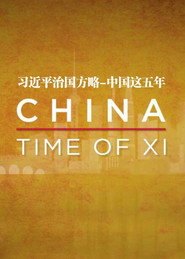 习近平治国方略:中国这五年 封面