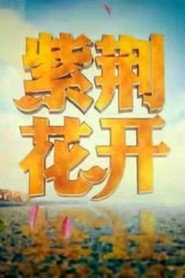 紫荆花开 封面