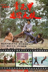 迷蹤霍元甲 封面