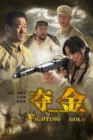 夺金 封面