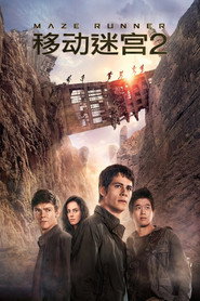 移动迷宫2:烧痕审判 封面