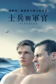 浴火鸟 封面