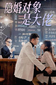 隐婚对象是大佬 封面