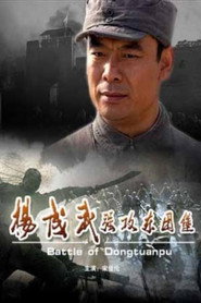 杨成武强攻东团堡 封面
