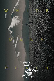 白鹿原 封面