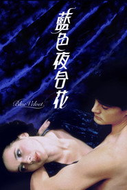 蓝丝绒 封面