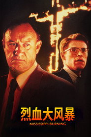 烈血大风暴 封面