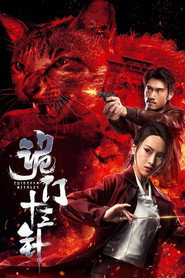 诡门十三针 封面