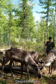 毕生所爱 封面