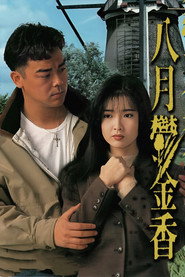 八月郁金香 封面