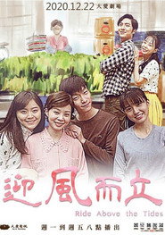 迎风而立 封面