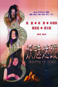 妖魅迷蹤 封面