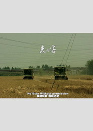 麦客 封面