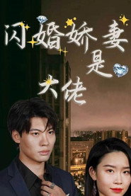 闪婚娇妻是大佬 封面