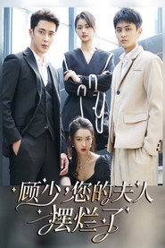 顾少，您的夫人摆烂了 封面