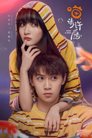 喵,请许愿 封面