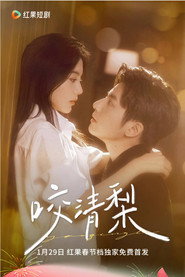 咬清梨 封面