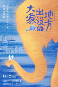 大象出没的地方 封面
