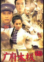 广府太极传奇 封面