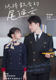 终将散去的尾迹云 封面