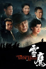 雪鹰 封面