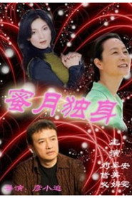 蜜月独身 封面