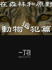 在森林和原野-動物逃犯篇 封面
