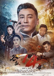 浴血十四年 封面