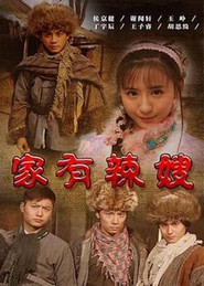 家有辣嫂 封面