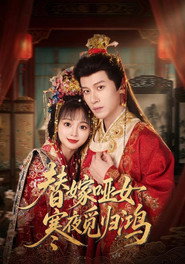 替嫁哑女寒夜觅归鸿 封面
