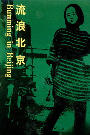 流浪北京 封面