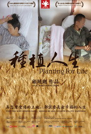 种植人生 封面