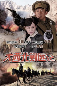 大西北剿匪记 封面