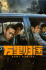 万里归途 封面