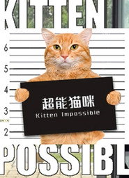 超能猫咪 封面
