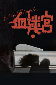 血迷宫 封面