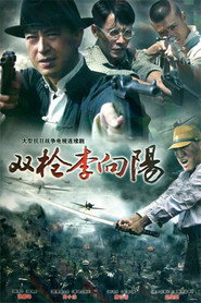 双枪李向阳 封面