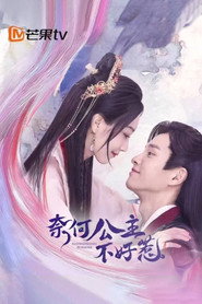 奈何公主不好惹 封面